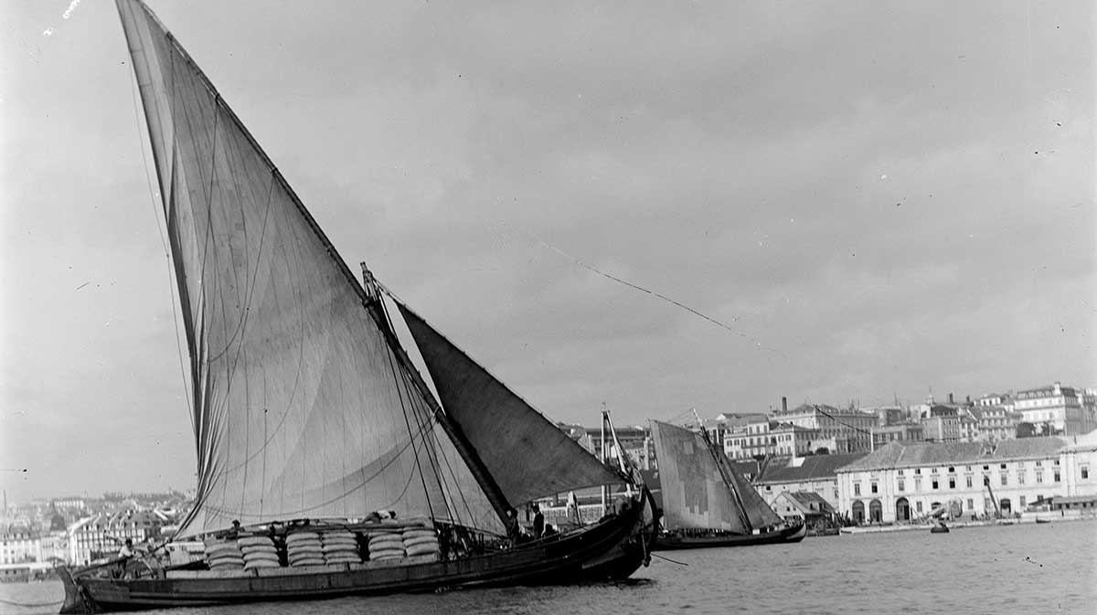Varino Tejo