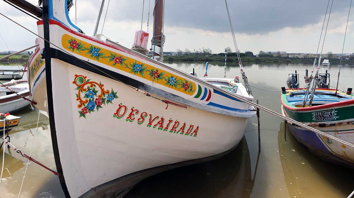 barco tradicional