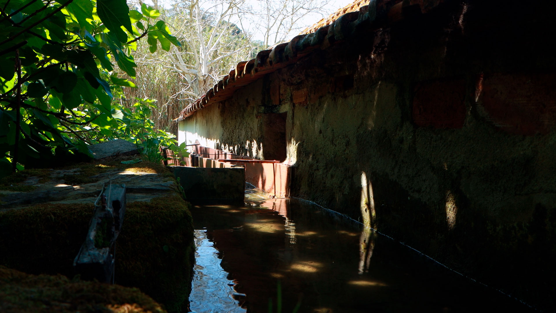 Azenha com levada